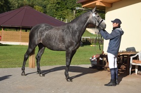 Lady Lisbeth
